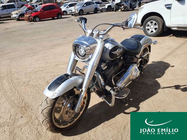 HARLEY DAVIDSON SOFTAIL 19/20